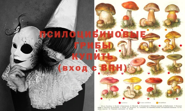 МДПВ Киреевск