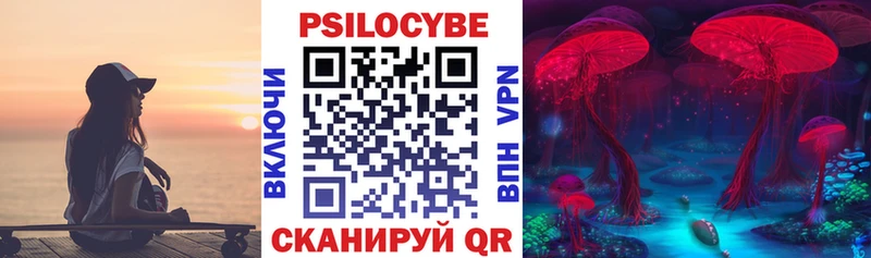 Купить где  Зеленоградск  Псилоцибиновые грибы GOLDEN TEACHER 